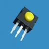 ZB202-31-2-Y手電筒開關