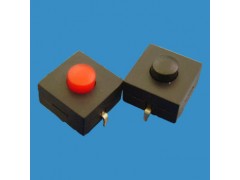ZB203-23-1-R按鍵手電筒開關