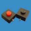 ZB203-23-1-R按鍵手電筒開關