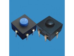 ZB203-61-1-B按鍵手電筒開關