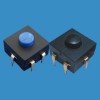 ZB203-61-1-B按鍵手電筒開關